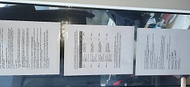 CONSTITUTION