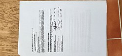 Page 3 of 3 constitution